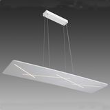 Modern LED Light, LED Lamp (HS301129D)