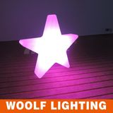 Outdoor Christmas Star Shape LED Lights