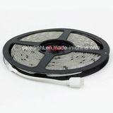 SMD 5050 White Color Marine LED Strip Lights