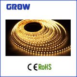 14.4W 5050SMD 60PCS/M LED Strip Light