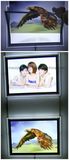 Wall Mounted LED Crystal Advertising Light Boxes with Magnetic Open