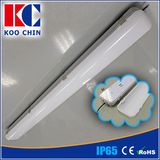 New Coming 120cm 40W Outdoor LED Tube Light