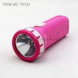 Rechargeable 0.5 Watt LED Flashlight (T5131)