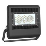 Factory Wholesale Aluminum New Model 100W LED Flood Light