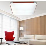 LED Ceiling Light for iPhone /LED Ceiling Down Light (CEIL5-Z48W)