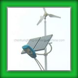 Wind Solar Roadside LED Lights