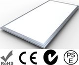 LED Panel Light (WD-PL-300*300-12W)