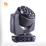 19X15W Bee-Eyes Beam LED Moving Head Light