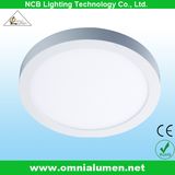 Hot 12W LED Round Light Panel (OLSPR12W)