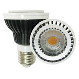 LED PAR20