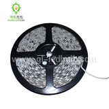 LED Strip Light (300SMD-5050-5m)