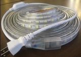 LED Strip Light 220V/110V LED Light LED