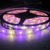 Four Color SMD5050 LED Strip Light