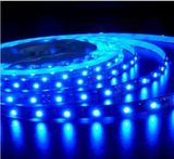 LED Strip Light (Nonwaterproof) (XDS-SB60F01012Y-3528)