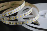 Expert Manufacturer 2835 CCT LED Strip Light