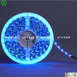 Waterproof 60LED/5050 M LED Strip