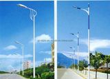 8m AC Power LED or Sodium Street Lights