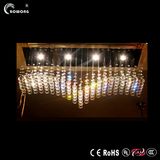 Hight Quality LED Crystal Lamp Ceiling Lamp Chandelier (BH-ML043)