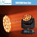 19X15W Economic LED Washing Moving Head Lights