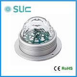 Hot Mini 3W DC24V LED Wall Light (SLB-17B)