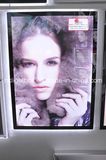 Hot Sale Hanging Crystal Ultra Slim LED Light Box (factory price, good quality, timely delivery)