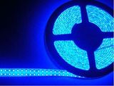 LED Flexible strip light 3528SMD Blue 240Leds/M