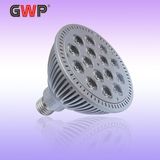 LED Spotlight (PAR38, 12LED)