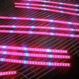 LED Grow Bar Light