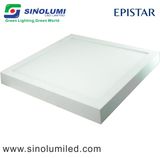 21W LED Panel Light with LED Ceiling Light