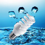 9W Energy Saving Bulbs with CE (BNF-FS)