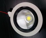 LED Down Light