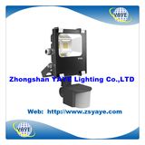 Yaye CE/RoHS Approval 10W/20W COB LED Flood Light/ LED Wall Washer/LED Projector with Warranty 2 Years (YAYE-14SD20WA)