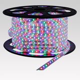 RGB LED Light 60LEDs/M Flexible LED Strip (G-SMD5050-60-220V-RGB)