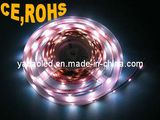 Flexible LED Light Strip (YB-F50-5)