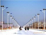 Wbr075 30W Single Lamp Solar LED Street Light