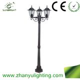 Outdoor Light Garden Light (ZY-HW001)