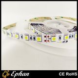 Best Quality SMD5050 60LED/M LED Strip Light (EPSST50-60-W)