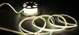 2015 Hot Sale 30LEDs TPU+PVC LED Strip Light of 110/220V