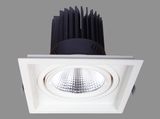 Aluminum Material LED Spotlight, 12W 24W COB LED Down Light (S-D0017)