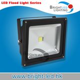 Flood Lighting/LED Outdoor Lights