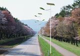 Solar Light LED Street, Solar Light New (SLD-SL-1010)