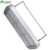 Meanwell Driver + Bridgelux 45mil LED Outdoor Light (CST-LT-B-168W)