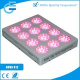 Energy Saving LED Grow Light