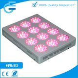 Energy Saving LED Grow Light