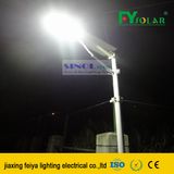 12W LED Integrated Solar Light