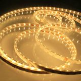 5m 5050 Warm White DC12V 300 SMD LED Flexible Strip Light Non Water Proof (ECO-F5050WW60W-12V)