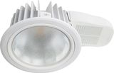 LED Down Light 22W (180TDII)