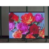 P6 Indoor Full-Color LED Display/Indoor Full-Color LED Display