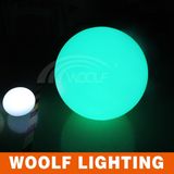 Battery Powered Decorations LED Garden Ball Lights