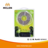 5m DC12V Type 5050 LED Strip Light with Ce